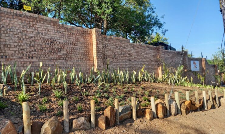 Experience the Pinnacle of Luxury in South Africa Safari Lodges