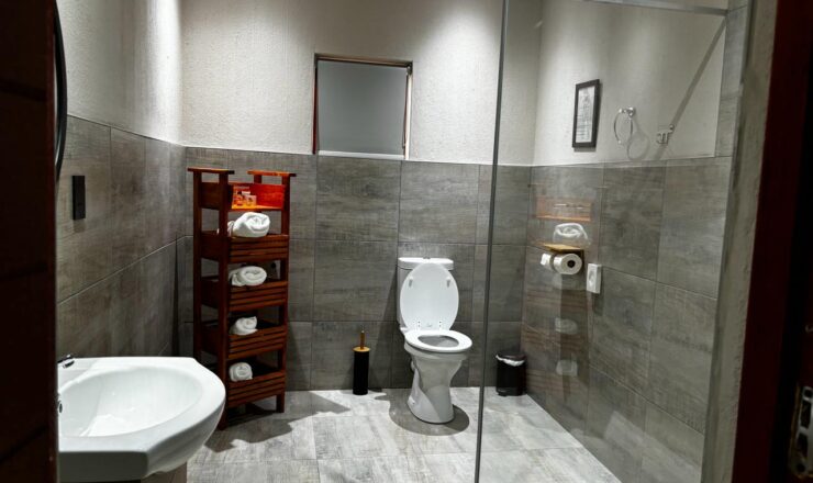 Unveiling Your Dream South African Safari: Finding the Perfect Kruger National Park Lodge