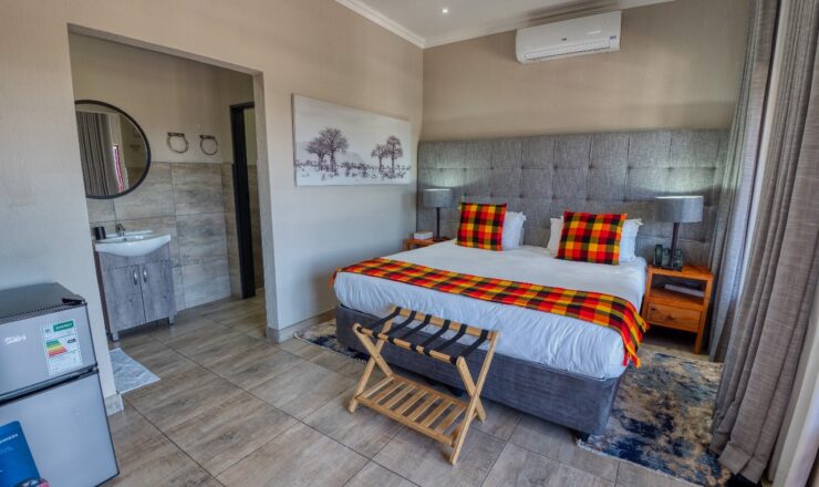 The Best Time of Year to Visit Tembo Guest Lodge: A Seasonal Guide