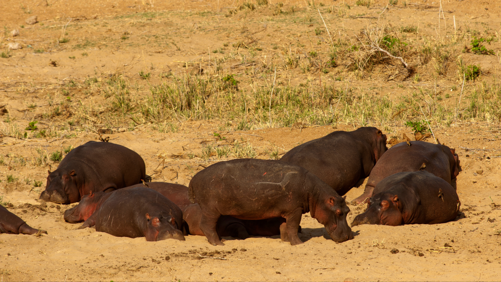 letaba 3