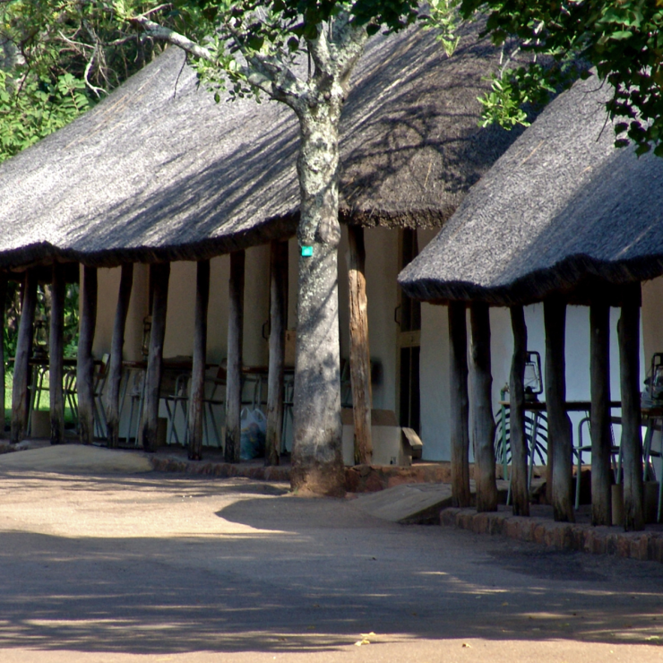 Discover Satara Rest Camp: A Gateway to the Kruger National Park’s Wildlife Splendor