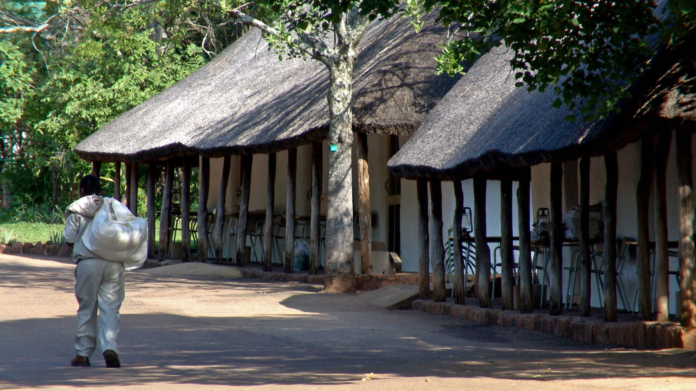 Discover Satara Rest Camp: A Gateway to the Kruger National Park’s Wildlife Splendor