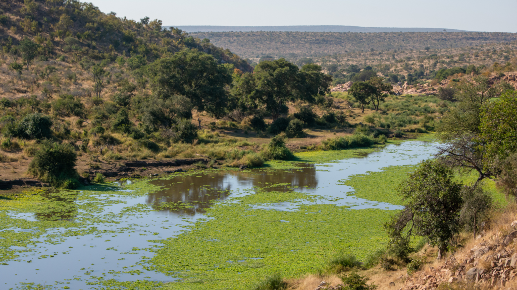 orpen river