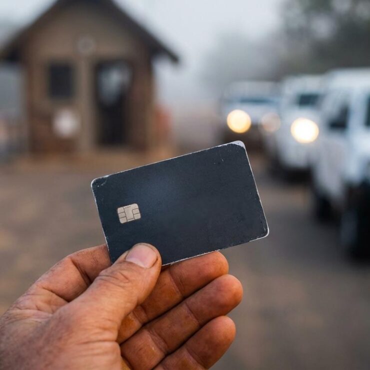 Phabeni vs Numbi vs Paul Kruger Gate: Which to Choose?